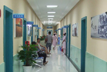 ���ݷ����̩��ҽԺ